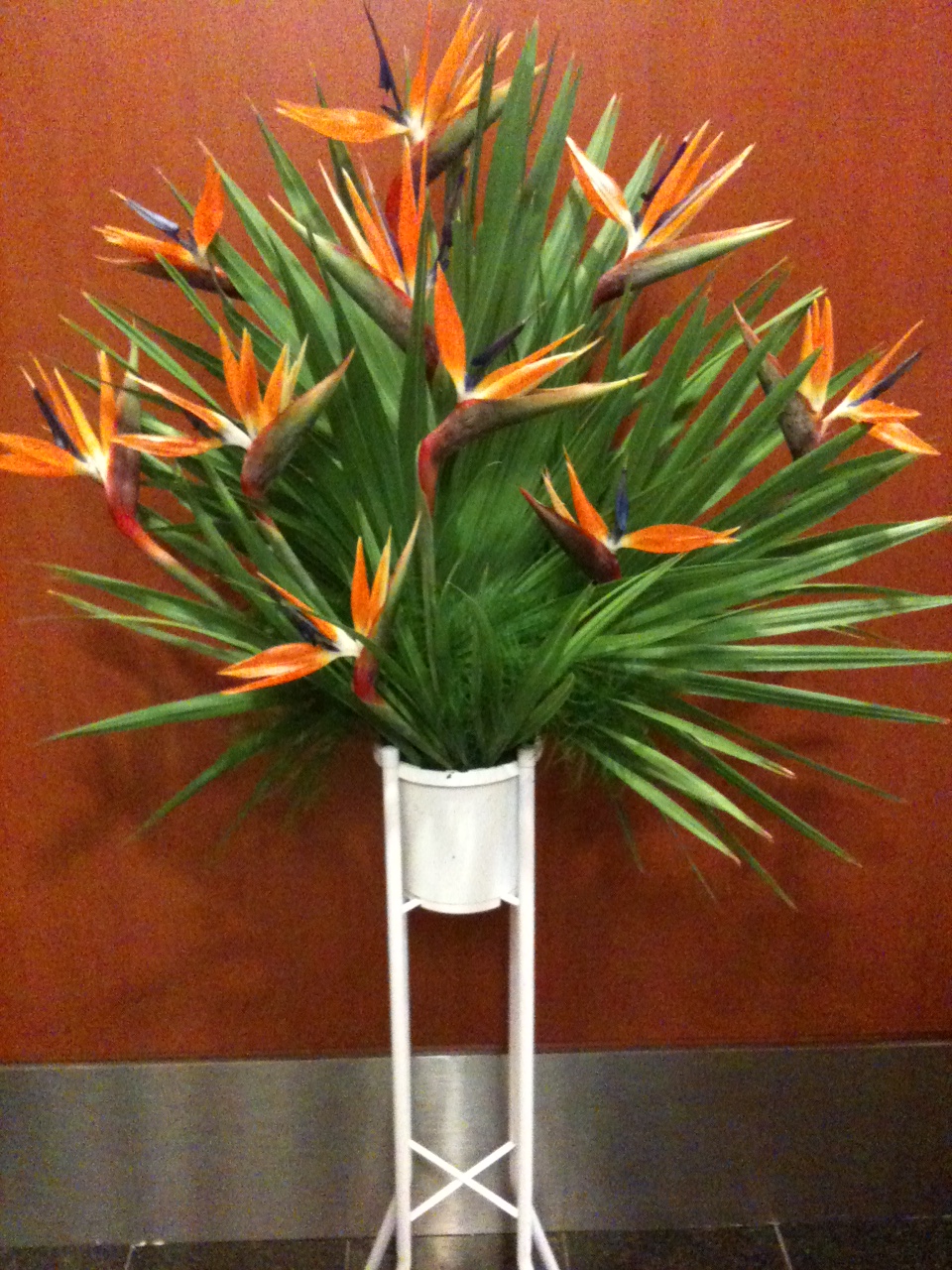 CONG120 Bird of Paradise Stand Flowers